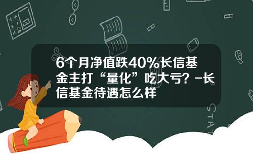 6个月净值跌40%长信基金主打“量化”吃大亏？-长信基金待遇怎么样