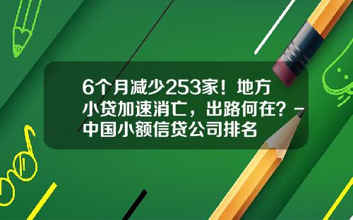 6个月减少253家！地方小贷加速消亡，出路何在？-中国小额信贷公司排名