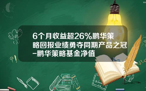 6个月收益超26%鹏华策略回报业绩勇夺同期产品之冠-鹏华策略基金净值