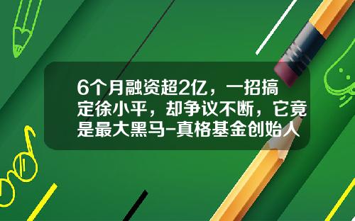 6个月融资超2亿，一招搞定徐小平，却争议不断，它竟是最大黑马-真格基金创始人徐小平