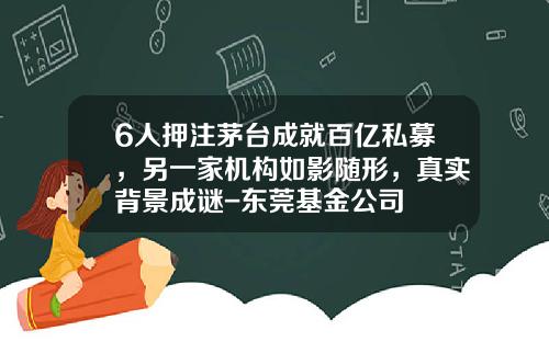 6人押注茅台成就百亿私募，另一家机构如影随形，真实背景成谜-东莞基金公司