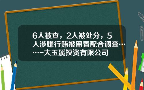 6人被查，2人被处分，5人涉嫌行贿被留置配合调查……-大玉溪投资有限公司