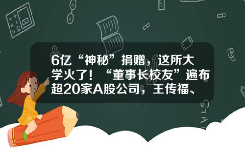 6亿“神秘”捐赠，这所大学火了！“董事长校友”遍布超20家A股公司，王传福、汪建、梁稳根均在列…-中国最大的证券公司是哪家