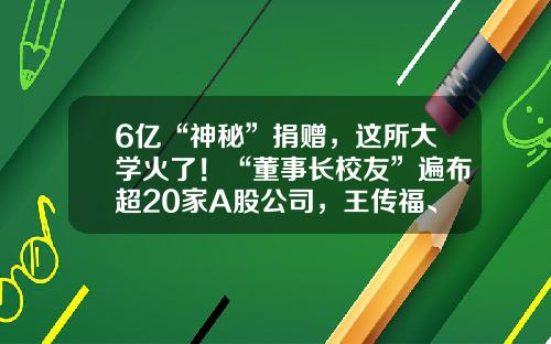 6亿“神秘”捐赠，这所大学火了！“董事长校友”遍布超20家A股公司，王传福、汪建、梁稳根均在列…-华中科技大学上市公司