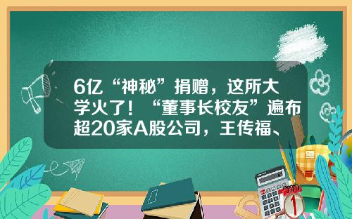 6亿“神秘”捐赠，这所大学火了！“董事长校友”遍布超20家A股公司，王传福、汪建、梁稳根均在列…-双登集团市值多少