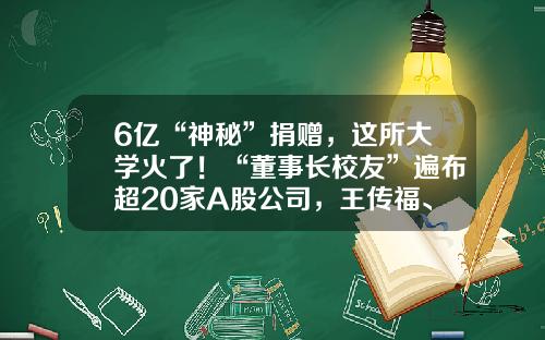 6亿“神秘”捐赠，这所大学火了！“董事长校友”遍布超20家A股公司，王传福、汪建、梁稳根均在列…-王传福占比亚迪多少股份