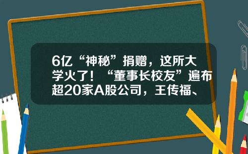 6亿“神秘”捐赠，这所大学火了！“董事长校友”遍布超20家A股公司，王传福、汪建、梁稳根均在列…-高校控股上市公司