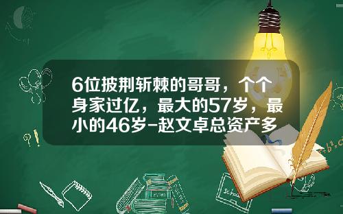 6位披荆斩棘的哥哥，个个身家过亿，最大的57岁，最小的46岁-赵文卓总资产多少