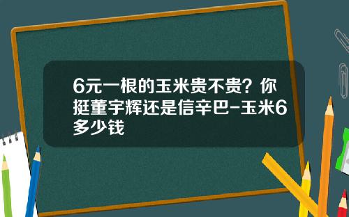 6元一根的玉米贵不贵？你挺董宇辉还是信辛巴-玉米6多少钱