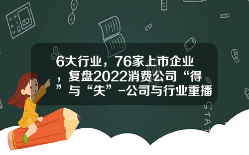 6大行业，76家上市企业，复盘2022消费公司“得”与“失”-公司与行业重播