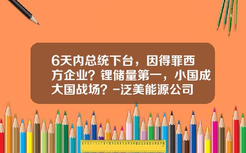 6天内总统下台，因得罪西方企业？锂储量第一，小国成大国战场？-泛美能源公司