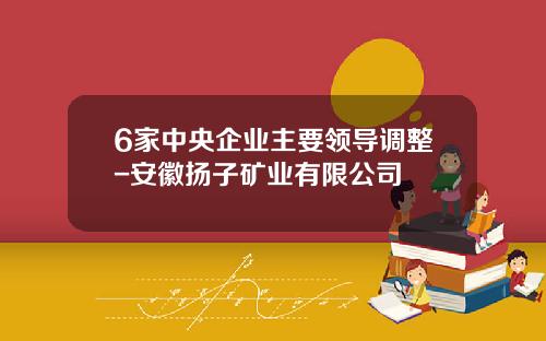 6家中央企业主要领导调整-安徽扬子矿业有限公司
