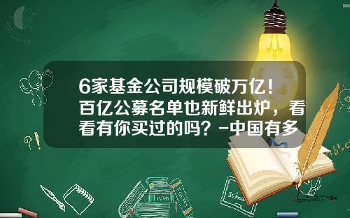 6家基金公司规模破万亿！百亿公募名单也新鲜出炉，看看有你买过的吗？-中国有多少基金公司