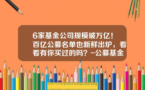 6家基金公司规模破万亿！百亿公募名单也新鲜出炉，看看有你买过的吗？-公募基金子公司名单