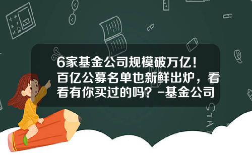 6家基金公司规模破万亿！百亿公募名单也新鲜出炉，看看有你买过的吗？-基金公司大全