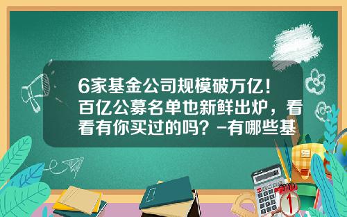 6家基金公司规模破万亿！百亿公募名单也新鲜出炉，看看有你买过的吗？-有哪些基金公司