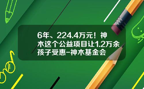 6年、224.4万元！神木这个公益项目让1.2万余孩子受惠-神木基金会