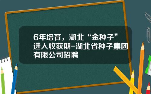 6年培育，湖北“金种子”进入收获期-湖北省种子集团有限公司招聘