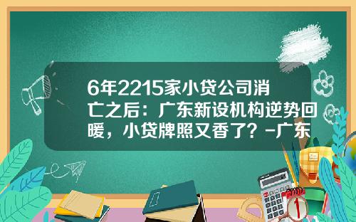 6年2215家小贷公司消亡之后：广东新设机构逆势回暖，小贷牌照又香了？-广东省有多少家小额贷款公司