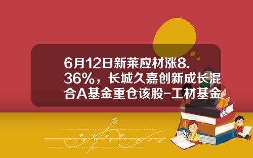 6月12日新莱应材涨8.36%，长城久嘉创新成长混合A基金重仓该股-工材基金