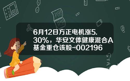 6月12日方正电机涨5.30%，华安文体健康混合A基金重仓该股-002196基金