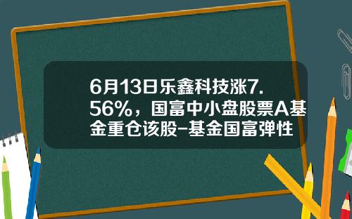 6月13日乐鑫科技涨7.56%，国富中小盘股票A基金重仓该股-基金国富弹性