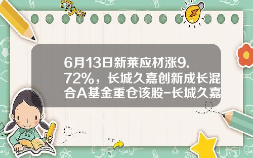 6月13日新莱应材涨9.72%，长城久嘉创新成长混合A基金重仓该股-长城久嘉基金