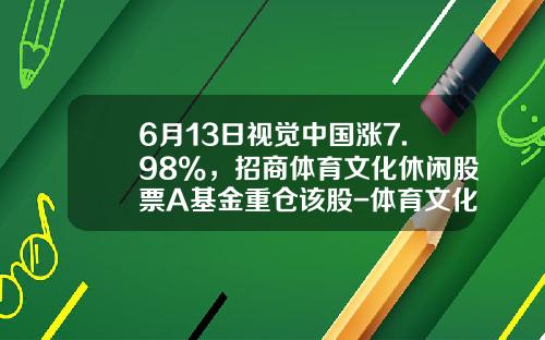 6月13日视觉中国涨7.98%，招商体育文化休闲股票A基金重仓该股-体育文化基金