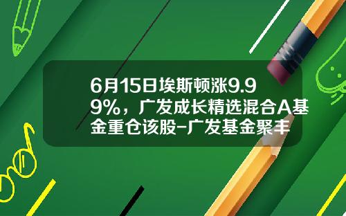 6月15日埃斯顿涨9.99%，广发成长精选混合A基金重仓该股-广发基金聚丰