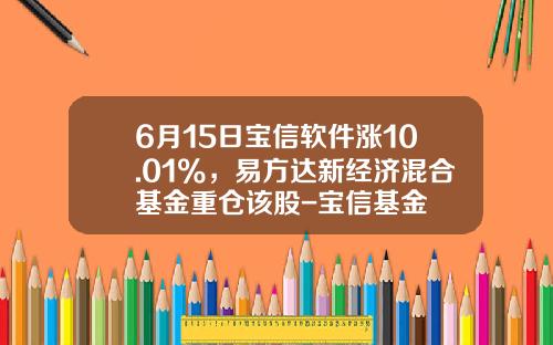 6月15日宝信软件涨10.01%，易方达新经济混合基金重仓该股-宝信基金