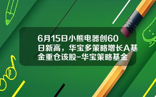 6月15日小熊电器创60日新高，华宝多策略增长A基金重仓该股-华宝策略基金