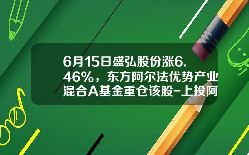 6月15日盛弘股份涨6.46%，东方阿尔法优势产业混合A基金重仓该股-上投阿尔法基金净值