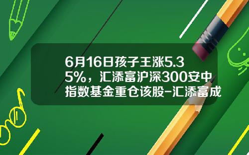 6月16日孩子王涨5.35%，汇添富沪深300安中指数基金重仓该股-汇添富成长多因子基金