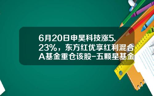 6月20日申昊科技涨5.23%，东方红优享红利混合A基金重仓该股-五颗星基金