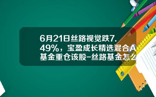 6月21日丝路视觉跌7.49%，宝盈成长精选混合A基金重仓该股-丝路基金怎么样