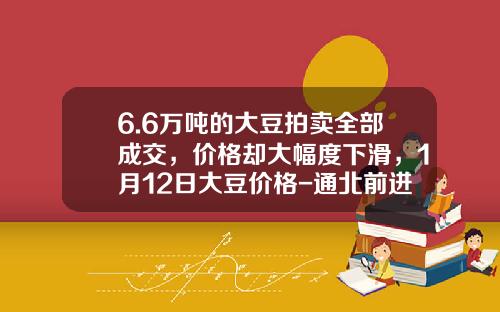 6.6万吨的大豆拍卖全部成交，价格却大幅度下滑，1月12日大豆价格-通北前进林厂年机温多少