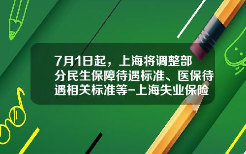 7月1日起，上海将调整部分民生保障待遇标准、医保待遇相关标准等-上海失业保险金多少钱一月
