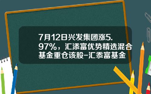 7月12日兴发集团涨5.97%，汇添富优势精选混合基金重仓该股-汇忝富基金