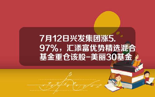 7月12日兴发集团涨5.97%，汇添富优势精选混合基金重仓该股-美丽30基金
