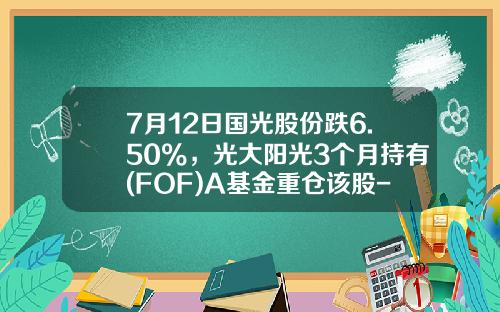 7月12日国光股份跌6.50%，光大阳光3个月持有(FOF)A基金重仓该股-光大国企基金