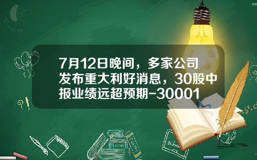 7月12日晚间，多家公司发布重大利好消息，30股中报业绩远超预期-300011公司业绩