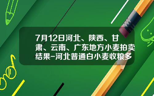 7月12日河北、陕西、甘肃、云南、广东地方小麦拍卖结果-河北普通白小麦收粮多少钱