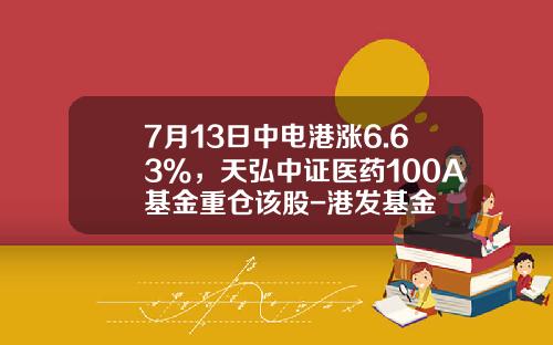 7月13日中电港涨6.63%，天弘中证医药100A基金重仓该股-港发基金