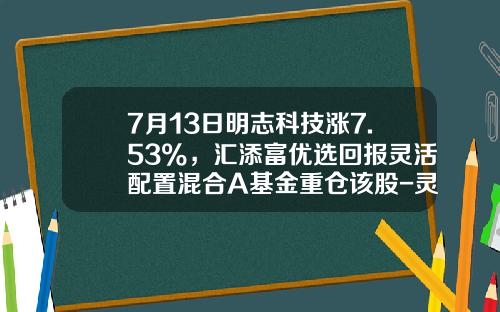 7月13日明志科技涨7.53%，汇添富优选回报灵活配置混合A基金重仓该股-灵活配置基金