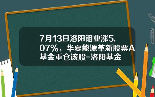7月13日洛阳钼业涨5.07%，华夏能源革新股票A基金重仓该股-洛阳基金
