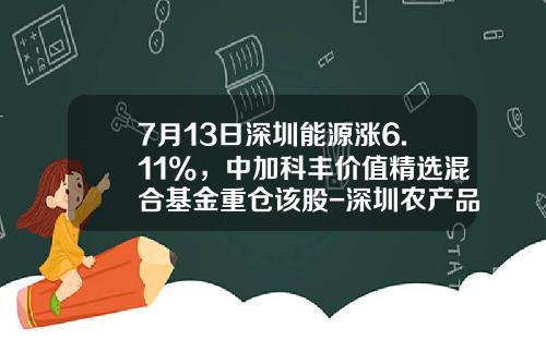 7月13日深圳能源涨6.11%，中加科丰价值精选混合基金重仓该股-深圳农产品基金公司