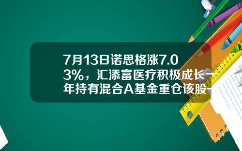 7月13日诺思格涨7.03%，汇添富医疗积极成长一年持有混合A基金重仓该股-汇添富医药基金的净值