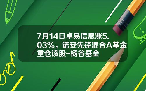 7月14日卓易信息涨5.03%，诺安先锋混合A基金重仓该股-杨谷基金