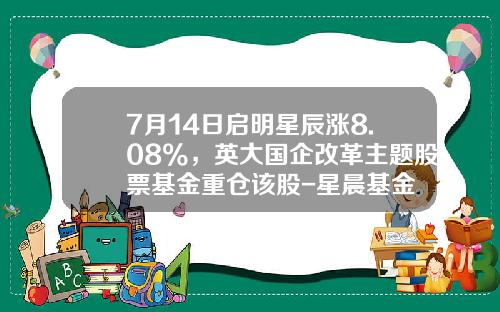 7月14日启明星辰涨8.08%，英大国企改革主题股票基金重仓该股-星晨基金
