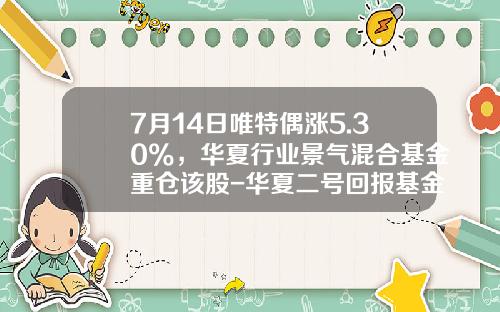 7月14日唯特偶涨5.30%，华夏行业景气混合基金重仓该股-华夏二号回报基金净值